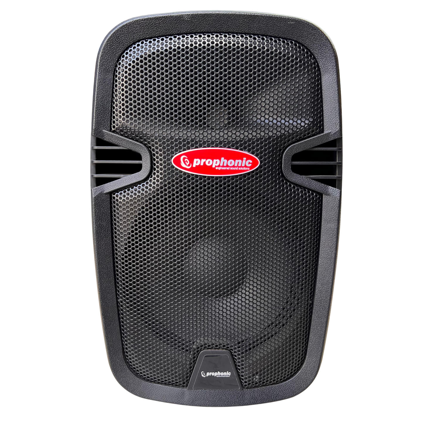 PS1208 8 CABINA PASIVA PROPHONIC