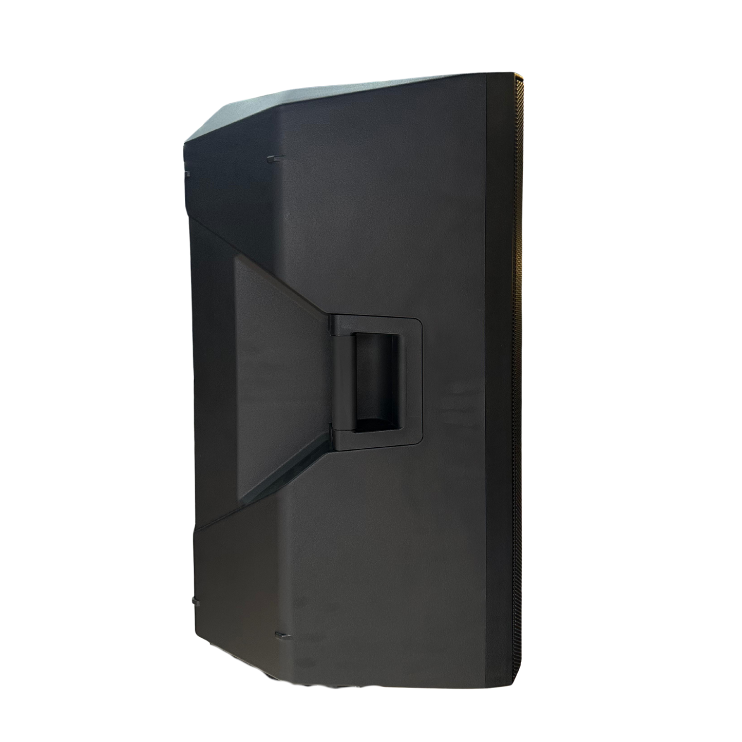PB15X-DSP ALTAVOZ PRO DJ ACTIVA