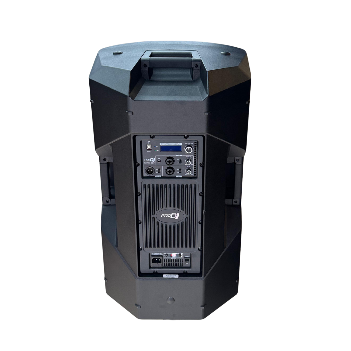 PB15X-DSP ALTAVOZ PRO DJ ACTIVA