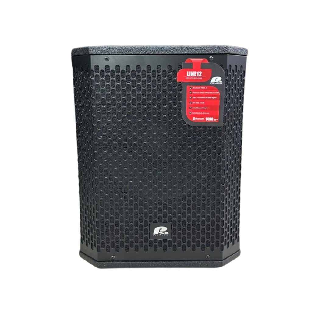 LINE 12 SISTEMA LINEAL PRO AUDIO DE 12 PULGADAS