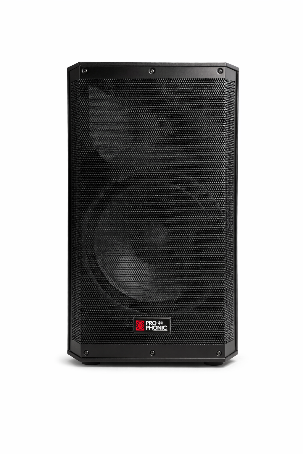 Cabina Profesional 15" PROPHONIC